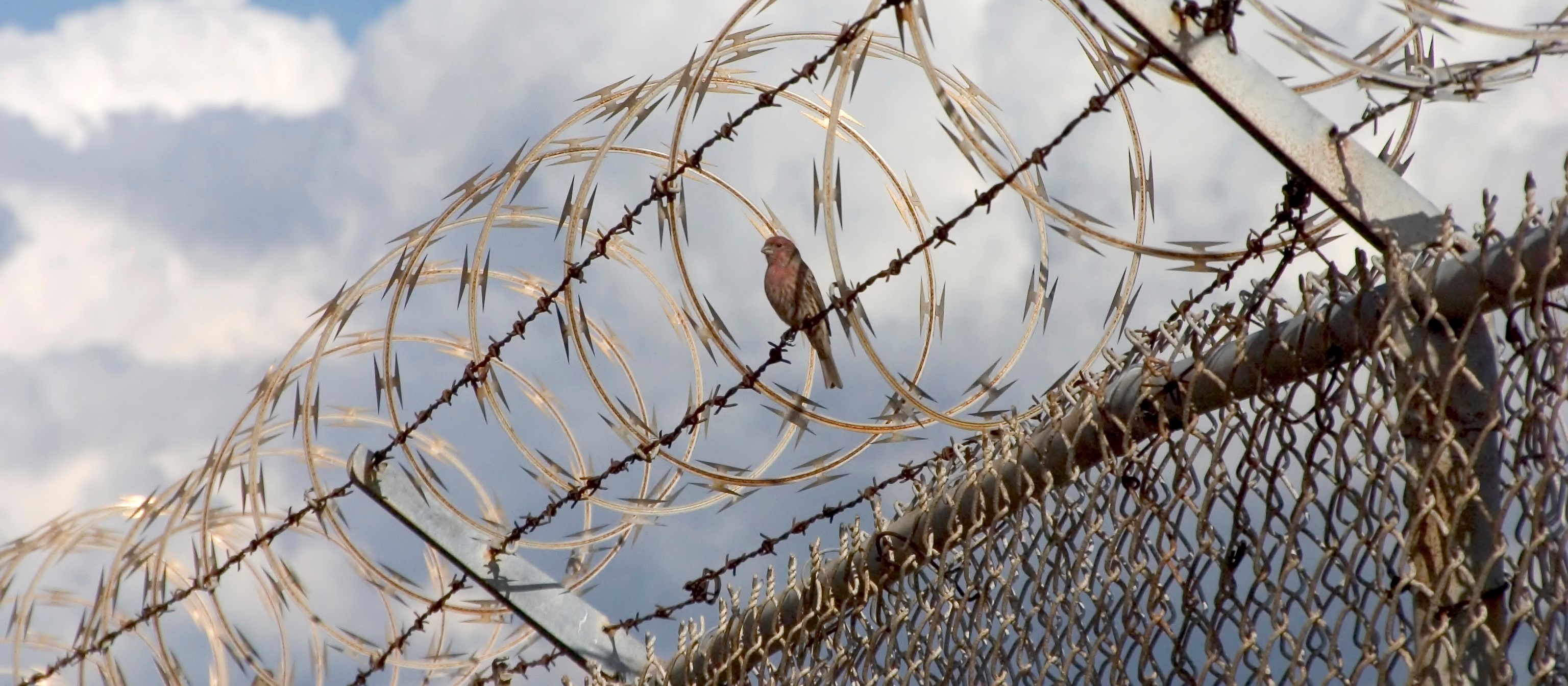 christian-books-prison-ministry